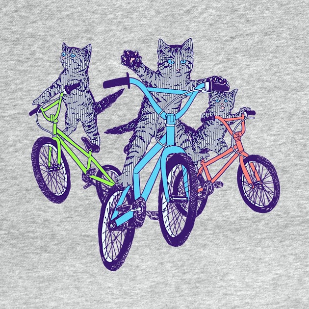 BMX Kittens by Hillary White Rabbit